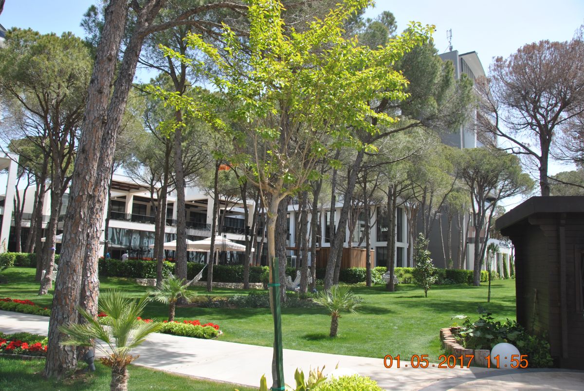 imagini hotel TRENDY LARA